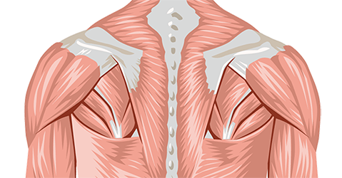 Shoulder and Upper Back Pain